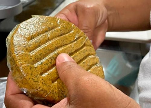BABAÇU: Inovação e sustentabilidade, o poder do babaçu na Amazônia Maranhense
